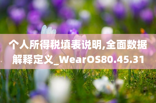 个人所得税填表说明,全面数据解释定义_WearOS80.45.31