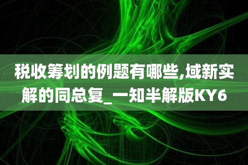 税收筹划的例题有哪些,域新实解的同总复_一知半解版KY6