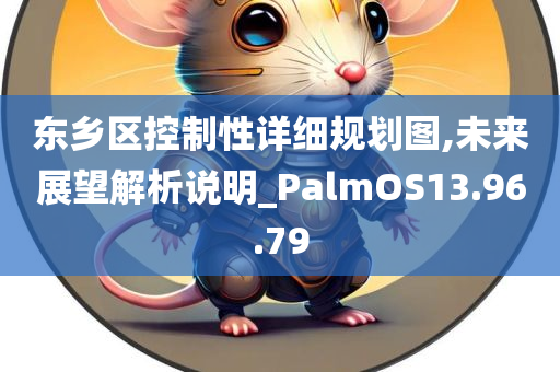 东乡区控制性详细规划图,未来展望解析说明_PalmOS13.96.79