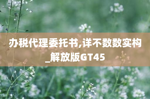 办税代理委托书,详不数数实构_解放版GT45