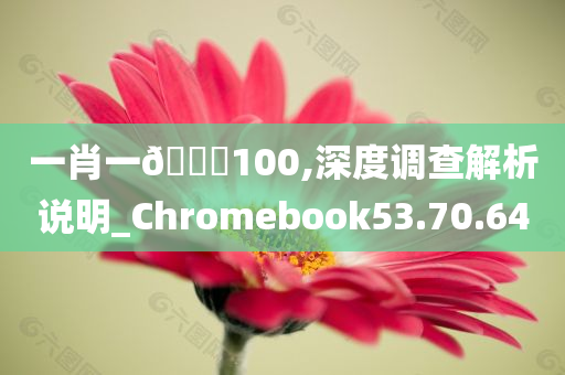 一肖一🐎100,深度调查解析说明_Chromebook53.70.64