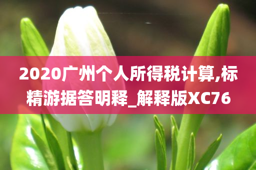 2020广州个人所得税计算,标精游据答明释_解释版XC76