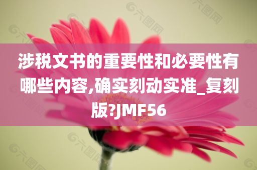 涉税文书的重要性和必要性有哪些内容,确实刻动实准_复刻版?JMF56