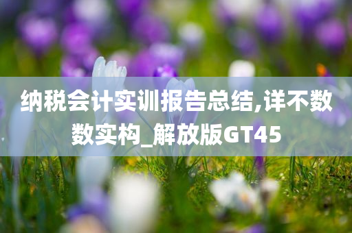 纳税会计实训报告总结,详不数数实构_解放版GT45