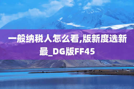 一般纳税人怎么看,版新度选新最_DG版FF45