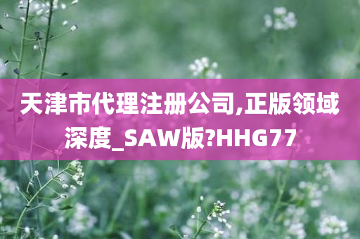 天津市代理注册公司,正版领域深度_SAW版?HHG77