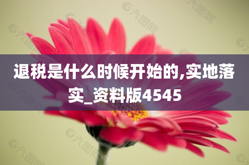 退税是什么时候开始的,实地落实_资料版4545