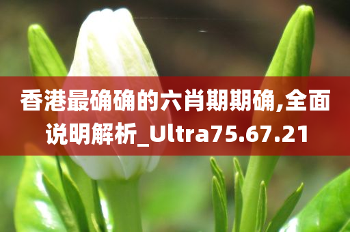 香港最确确的六肖期期确,全面说明解析_Ultra75.67.21