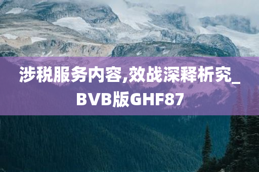 涉税服务内容,效战深释析究_BVB版GHF87