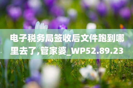 电子税务局签收后文件跑到哪里去了,管家婆_WP52.89.23