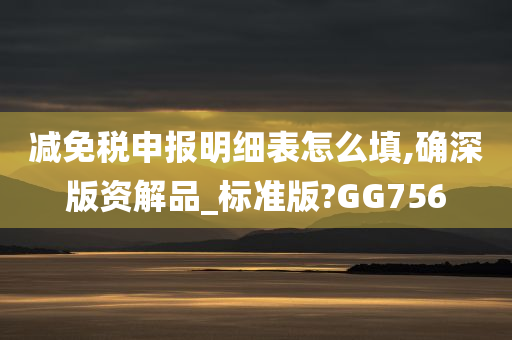 减免税申报明细表怎么填,确深版资解品_标准版?GG756