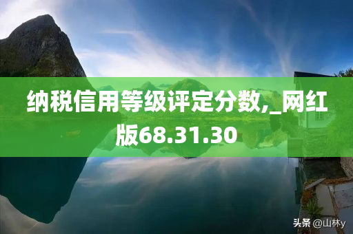 纳税信用等级评定分数,_网红版68.31.30