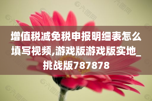 增值税减免税申报明细表怎么填写视频,游戏版游戏版实地_挑战版787878