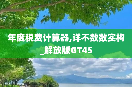 年度税费计算器,详不数数实构_解放版GT45