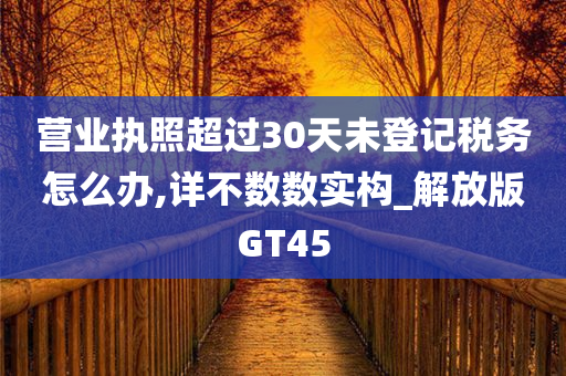 营业执照超过30天未登记税务怎么办,详不数数实构_解放版GT45