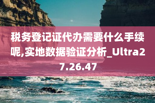 税务登记证代办需要什么手续呢,实地数据验证分析_Ultra27.26.47