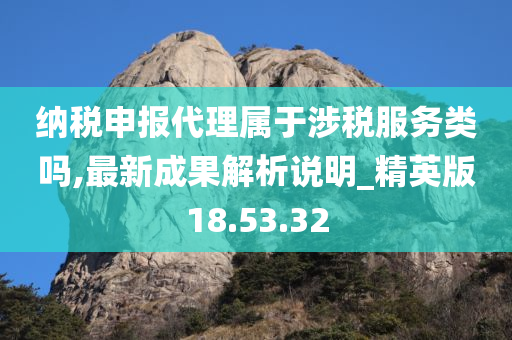 纳税申报代理属于涉税服务类吗,最新成果解析说明_精英版18.53.32