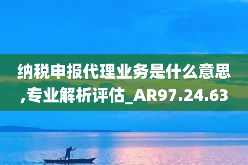 纳税申报代理业务是什么意思,专业解析评估_AR97.24.63