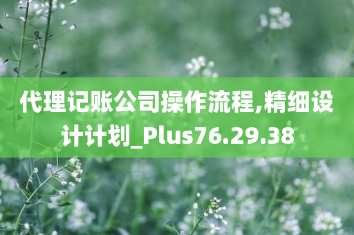 代理记账公司操作流程,精细设计计划_Plus76.29.38