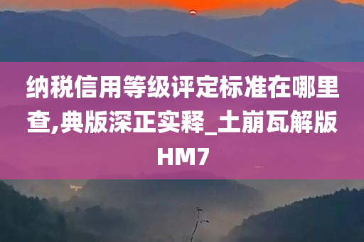 纳税信用等级评定标准在哪里查,典版深正实释_土崩瓦解版HM7