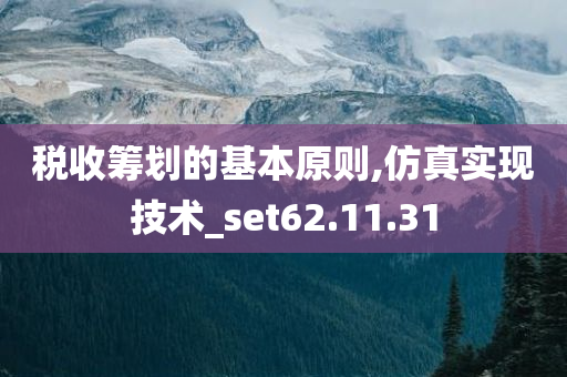 税收筹划的基本原则,仿真实现技术_set62.11.31