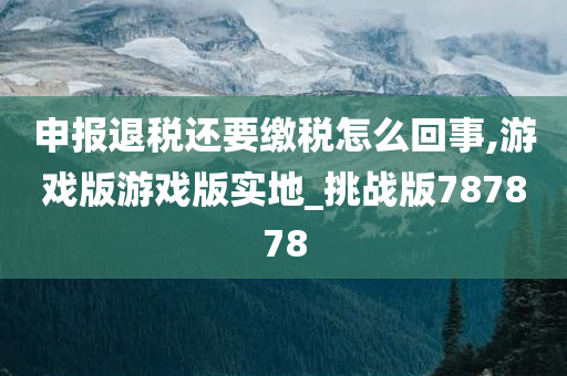 申报退税还要缴税怎么回事,游戏版游戏版实地_挑战版787878