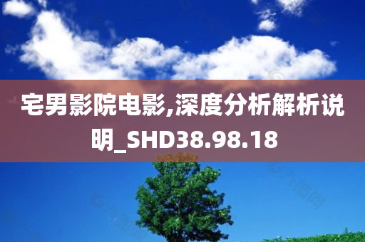 宅男影院电影,深度分析解析说明_SHD38.98.18