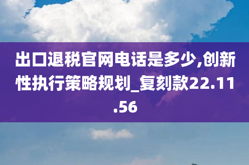 出口退税官网电话是多少,创新性执行策略规划_复刻款22.11.56