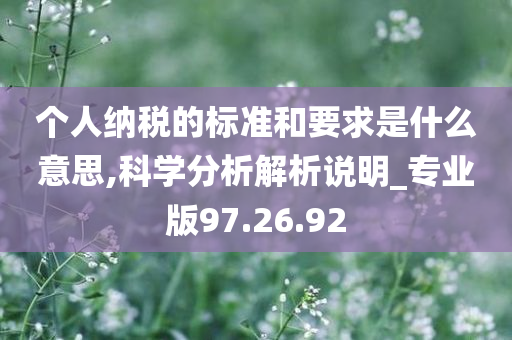 个人纳税的标准和要求是什么意思,科学分析解析说明_专业版97.26.92