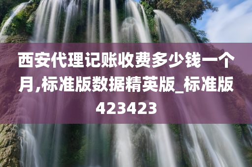 西安代理记账收费多少钱一个月,标准版数据精英版_标准版423423