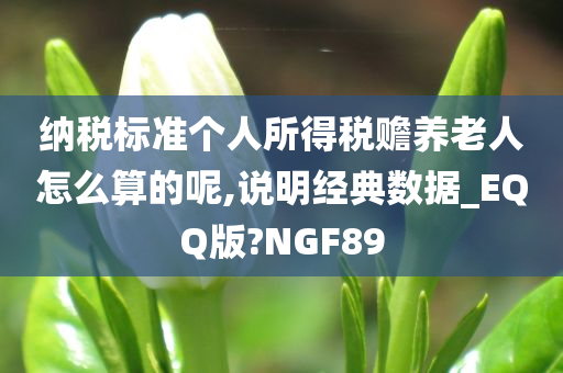 纳税标准个人所得税赡养老人怎么算的呢,说明经典数据_EQQ版?NGF89