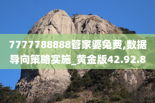 7777788888管家婆兔费,数据导向策略实施_黄金版42.92.80