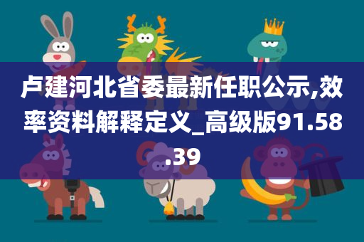 卢建河北省委最新任职公示,效率资料解释定义_高级版91.58.39