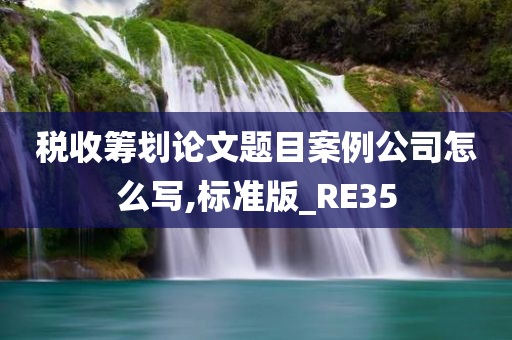 税收筹划论文题目案例公司怎么写,标准版_RE35