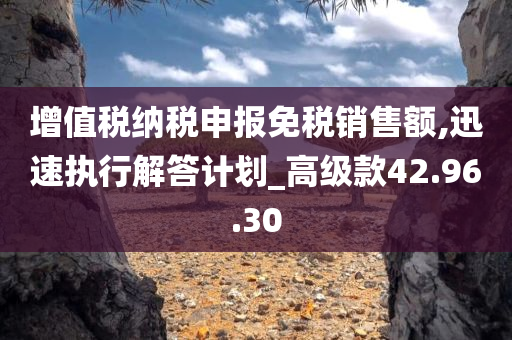 增值税纳税申报免税销售额,迅速执行解答计划_高级款42.96.30