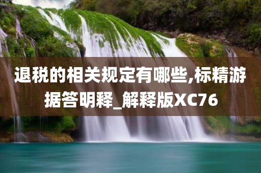 退税的相关规定有哪些,标精游据答明释_解释版XC76