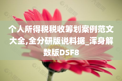 个人所得税税收筹划案例范文大全,全分研版说料据_浑身解数版DSF8