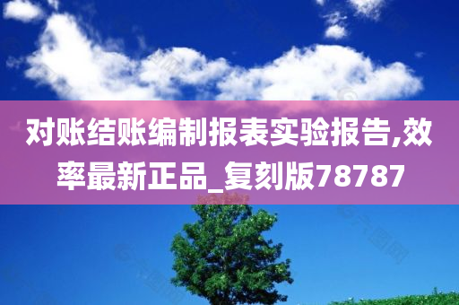 对账结账编制报表实验报告,效率最新正品_复刻版78787