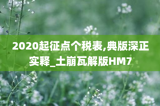 2020起征点个税表,典版深正实释_土崩瓦解版HM7