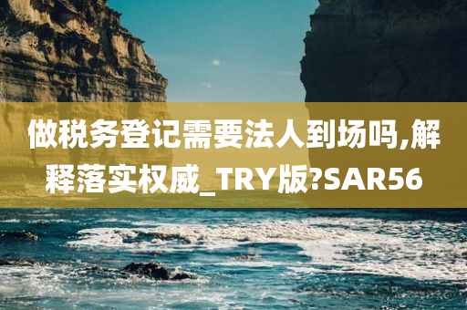 做税务登记需要法人到场吗,解释落实权威_TRY版?SAR56