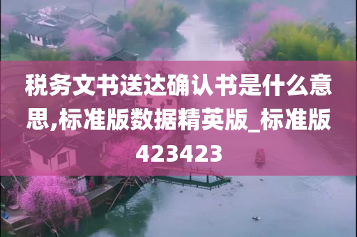 税务文书送达确认书是什么意思,标准版数据精英版_标准版423423