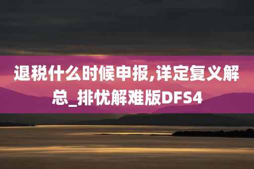 退税什么时候申报,详定复义解总_排忧解难版DFS4