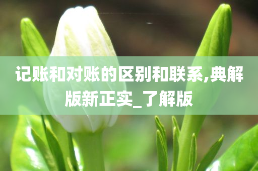 记账和对账的区别和联系,典解版新正实_了解版