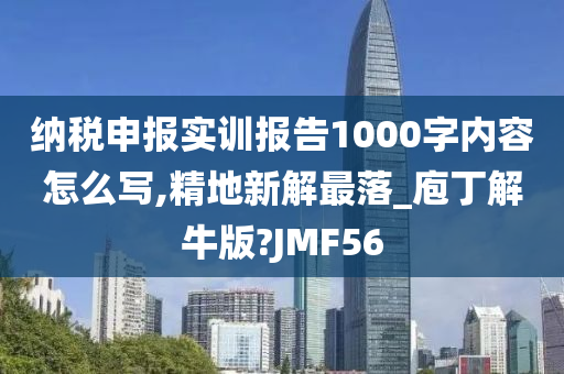 纳税申报实训报告1000字内容怎么写,精地新解最落_庖丁解牛版?JMF56