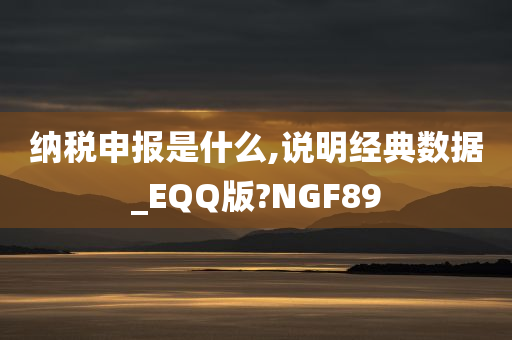 纳税申报是什么,说明经典数据_EQQ版?NGF89