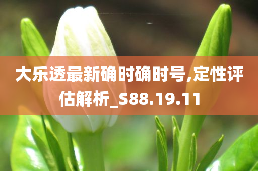 大乐透最新确时确时号,定性评估解析_S88.19.11