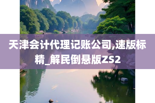 天津会计代理记账公司,速版标精_解民倒悬版ZS2