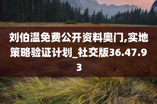 刘伯温免费公开资料奥门,实地策略验证计划_社交版36.47.93