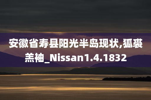 安徽省寿县阳光半岛现状,狐裘羔袖_Nissan1.4.1832