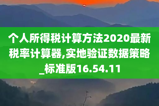 个人所得税计算方法2020最新税率计算器,实地验证数据策略_标准版16.54.11